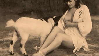 Classic Taboo: Retro Lovemaking With Furry Friends